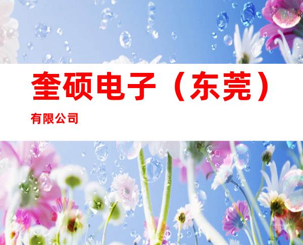 奎硕电子（东莞）有限公司